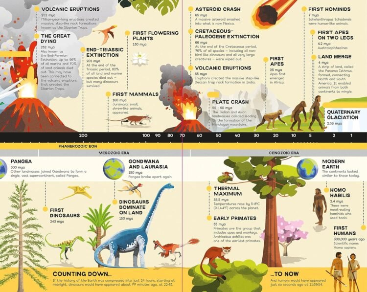 Fold out Timeline Planet Earth - Image 5