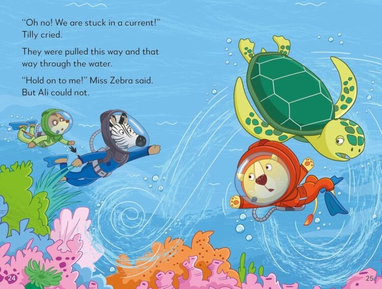 Ladybird Class - Turtle Trouble - Image 3
