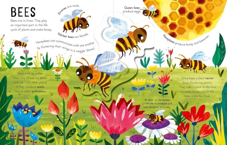 Curious Kids - Bugs and Beasts - Image 2