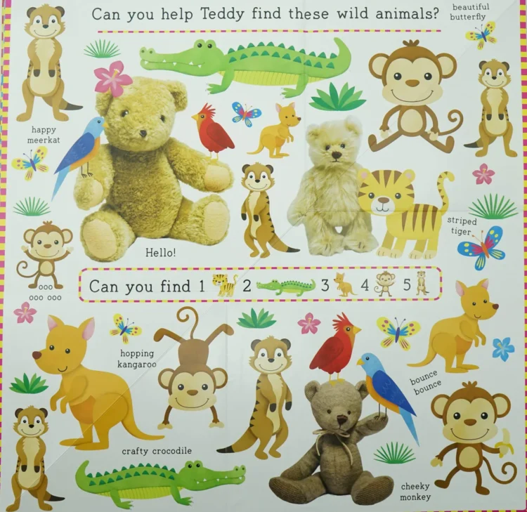Find with Teddy Animals - Image 3