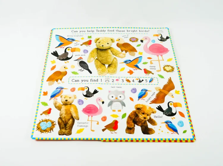 Find with Teddy Animals - Image 4