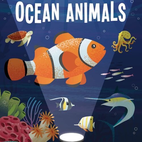 Seek & Find Ocean Animals